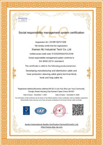 Social responsibility management system certification